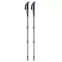 Trekkingo lazdos Viking Carbo Lite Black Lime, 175 cm, anglies pluoštas, 610 g (pora)