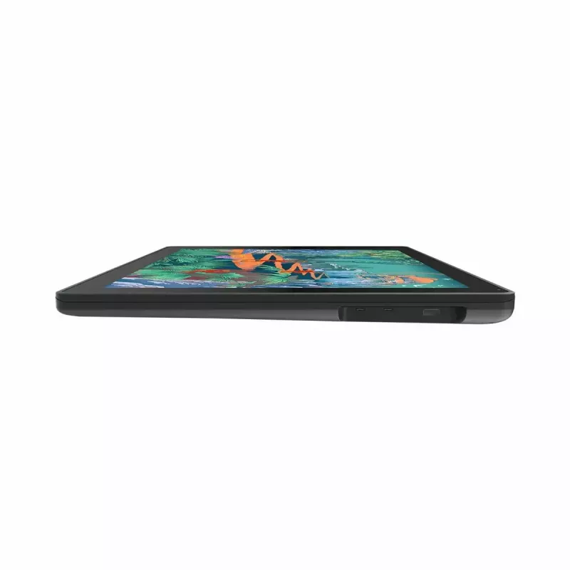 Grafikos planšetė HUION Kamvas 24 Plus GS2402 23,4 colio QHD IPS 2560x1440, 16:9, 8192 slėgio lygiai