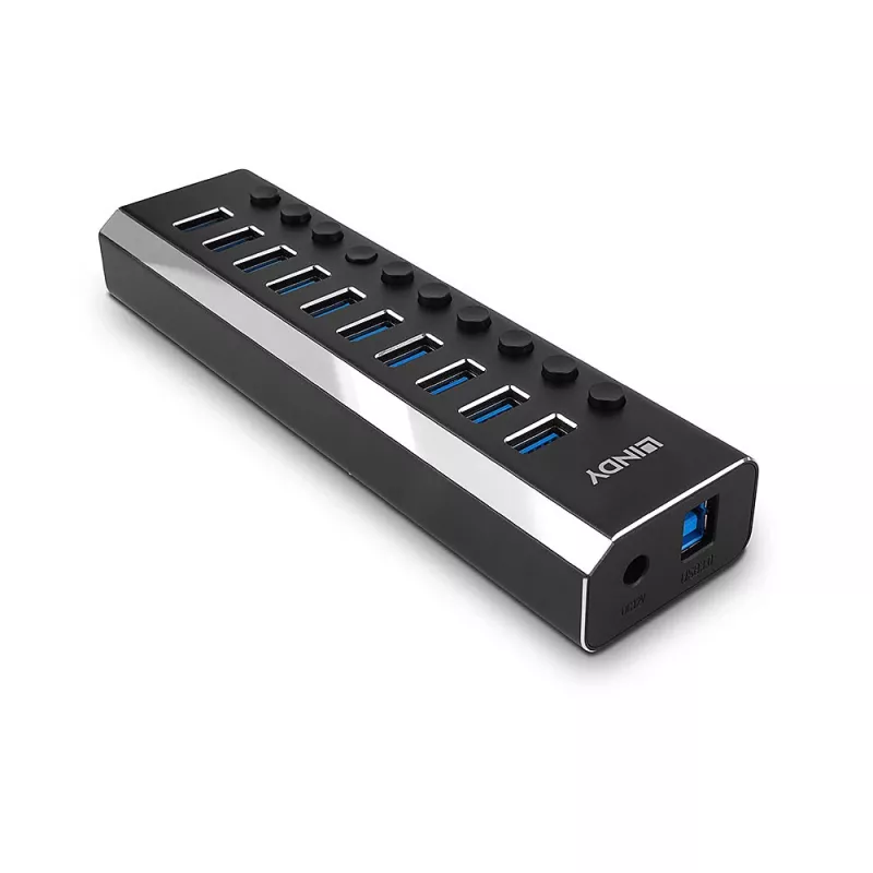 Lindy 10 Portų USB 3.0 Hub su Įjungimo / Išjungimo Jungikliais