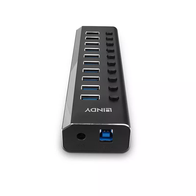Lindy 10 Portų USB 3.0 Hub su Įjungimo / Išjungimo Jungikliais