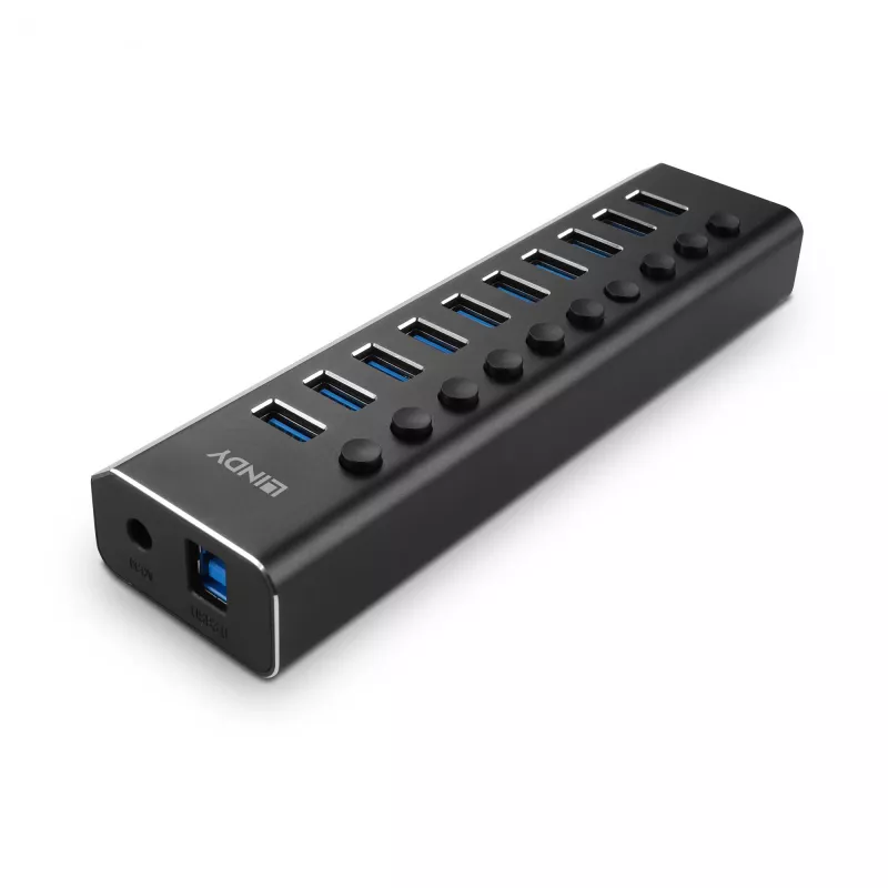 Lindy 10 Portų USB 3.0 Hub su Įjungimo / Išjungimo Jungikliais