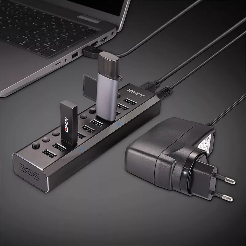 Lindy 10 Portų USB 3.0 Hub su Įjungimo / Išjungimo Jungikliais