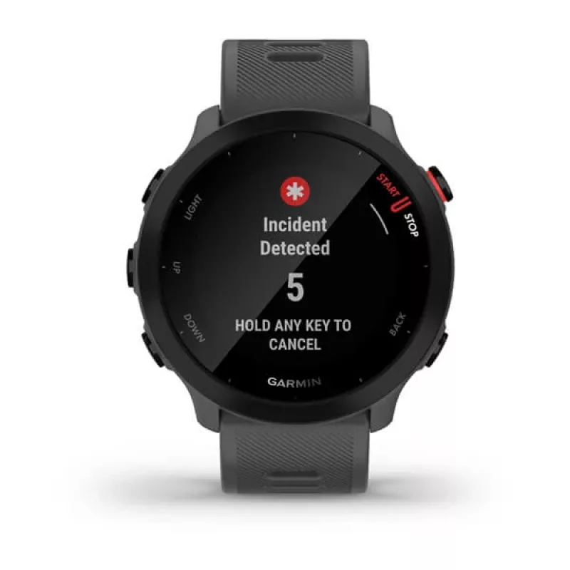 Garmin Forerunner 55 išmanusis laikrodis, GPS, 42 mm, pilkos spalvos