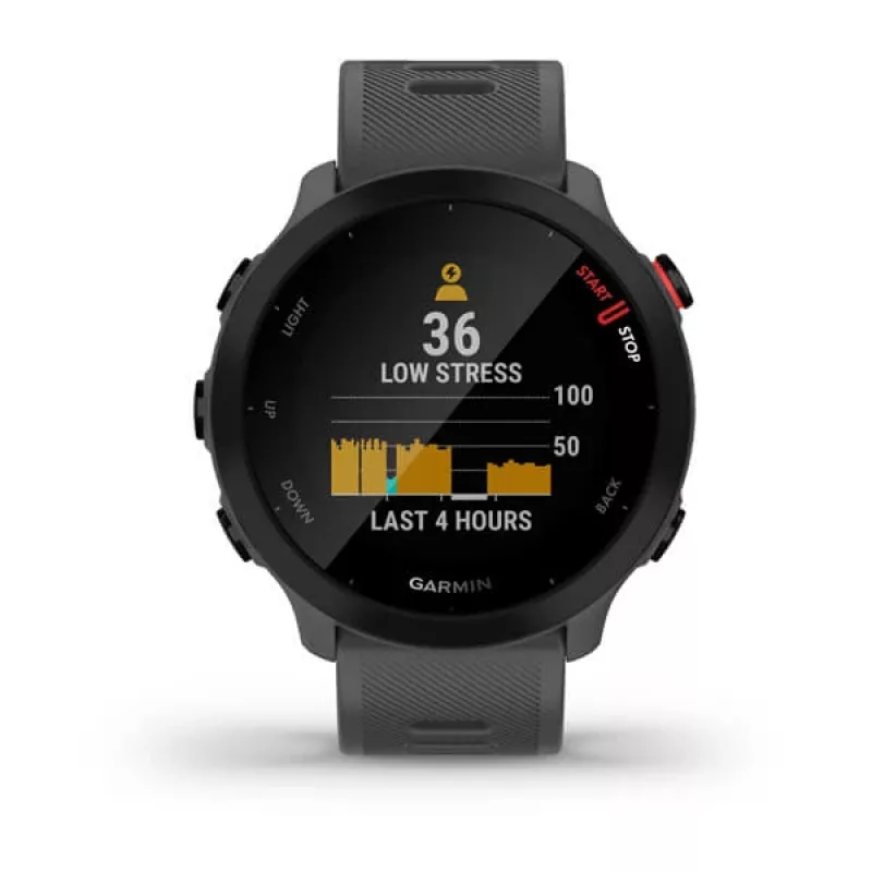 Garmin Forerunner 55 išmanusis laikrodis, GPS, 42 mm, pilkos spalvos