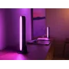 Philips Hue White and colour ambience Play šviesos juostos praplėtimo rinkinys