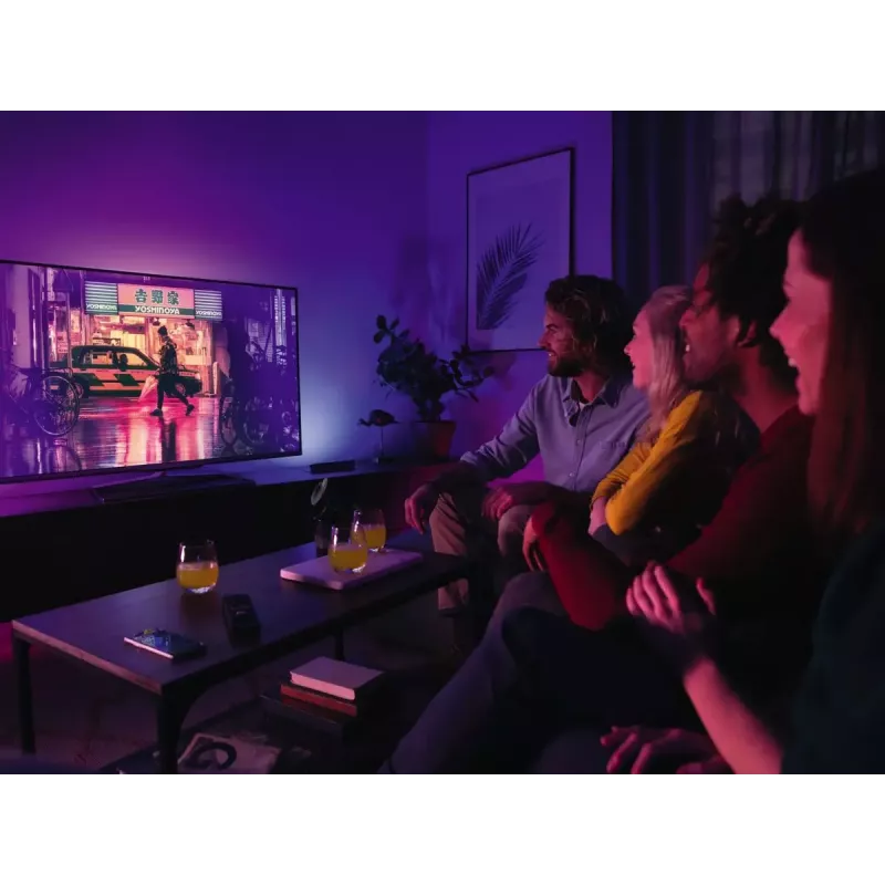 Philips Hue White and colour ambience Play šviesos juostos praplėtimo rinkinys