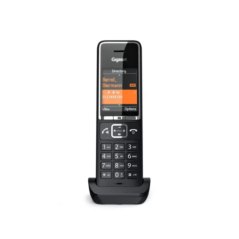 Belaidis analoginis/DECT ragelis Gigaset 550 HX su garsiakalbiu