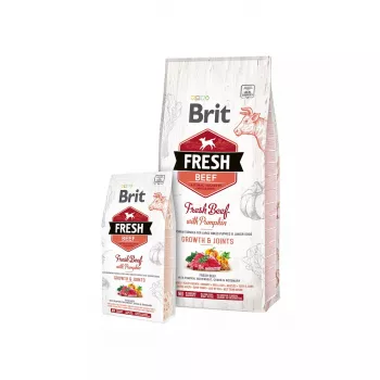 Brit Fresh Beef with Pumpkin Puppy Large Bones & Joints 12 kg šunų ėdalas