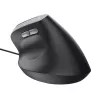 Trust Bayo II pelė dešinei rankai USB Type-A 2400 DPI