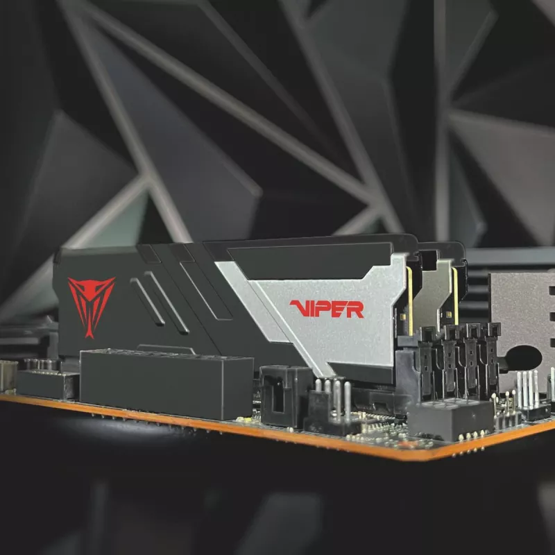 PATRIOT MEMORY Atmintis - Viper Venom - 32GB 2 x 16 GB DDR5 7000 MHz