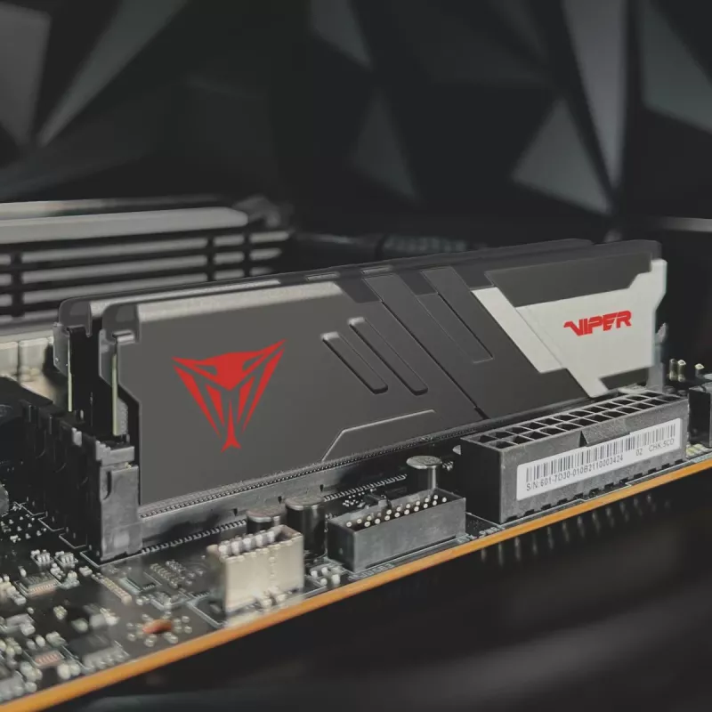 PATRIOT MEMORY Atmintis - Viper Venom - 32GB 2 x 16 GB DDR5 7000 MHz