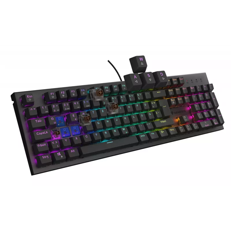 GENESIS Thor 303 klaviatūra, mechaninė, USB, QWERTZ, vokiškas išdėstymas, juoda, RGB