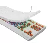 GENESIS Thor 230 TKL klaviatūra žaidimams, mechaninė, USB, QWERTY, US English, balta