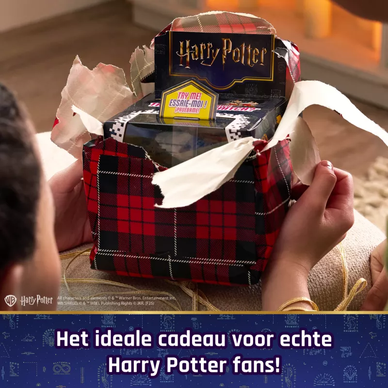 Wizarding World Harry Potter Bitzee interaktyvus žaislas su 20 personažų