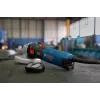 Bosch GWS 17-125 TS kampinis šlifuoklis 12,5 cm 9700 aps./min 1700 W 2,2 kg