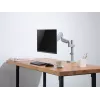 Equip 17 inch-32 inch Artikuliuojamas monitoriaus laikiklis ant stalo su dujine spyruokle