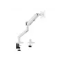 Equip 650185 Premium monitorinis laikiklis stalviršiui, 17–35 colių, baltas