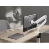 Equip 650185 Premium monitorinis laikiklis stalviršiui, 17–35 colių, baltas