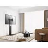 Equip 650615 TV stovas 190,5 cm (75 col.) Juodas