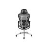 Equip Ergonominė Premium biuro kėdė su galvos atrama ir porankiais, pilka