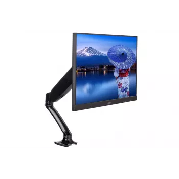 iiyama DS3001C-B1 monitor laikiklis / stovas 68,6 cm (27 col.) stalas Juoda