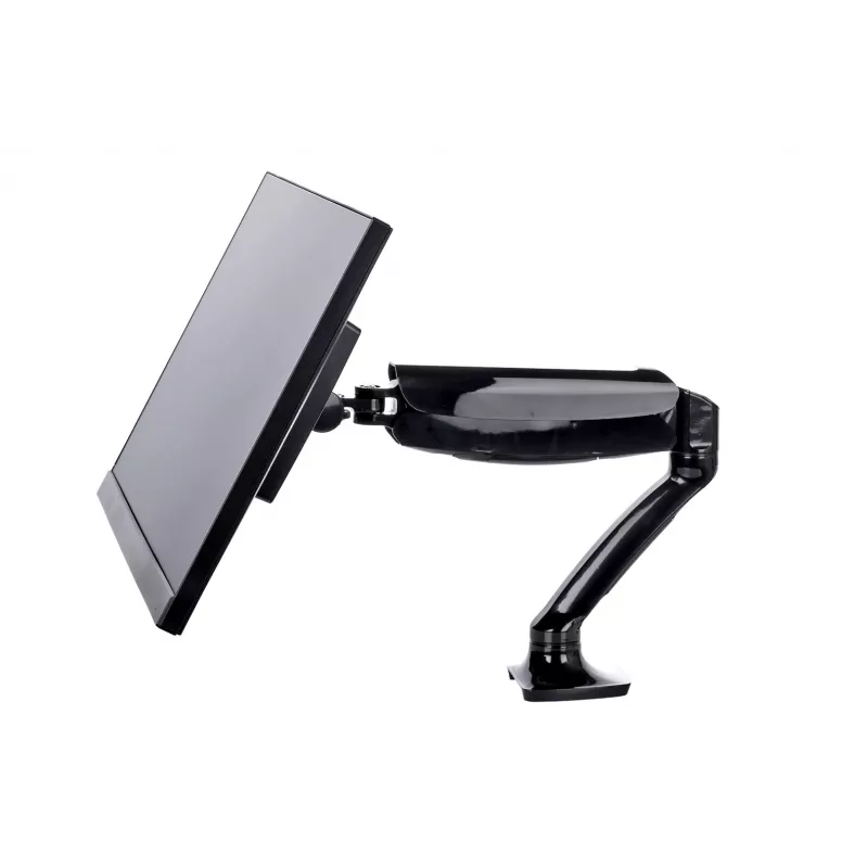 iiyama DS3001C-B1 monitor laikiklis / stovas 68,6 cm (27 col.) stalas Juoda