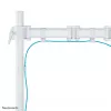 Neomounts NM-D135WHITE Monitorio rankena 10-30 colių, Spaustuvas/Grommet, 8 kg, 25,4 cm (10 col.), 76,2 cm (30 col.), 100 x 100 mm, Balta