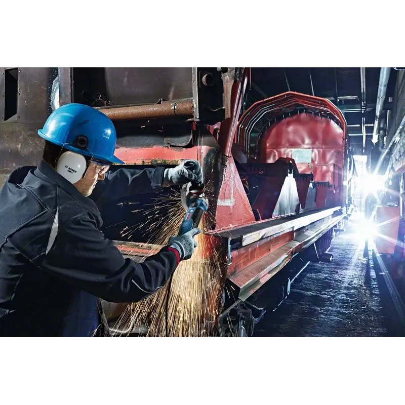 Bosch GWS 19-125 CIE Professional kampinis šlifuoklis 12,5 cm 11500 RPM 1900 W 2,4 kg