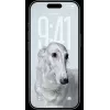 Išmanusis telefonas Apple iPhone 17 Pro 1 TB sidabrinis 6,3 colio (16 cm) ekranas A19 Pro 1 TB 48 MP triguba kamera Dual SIM iOS 26 206 g