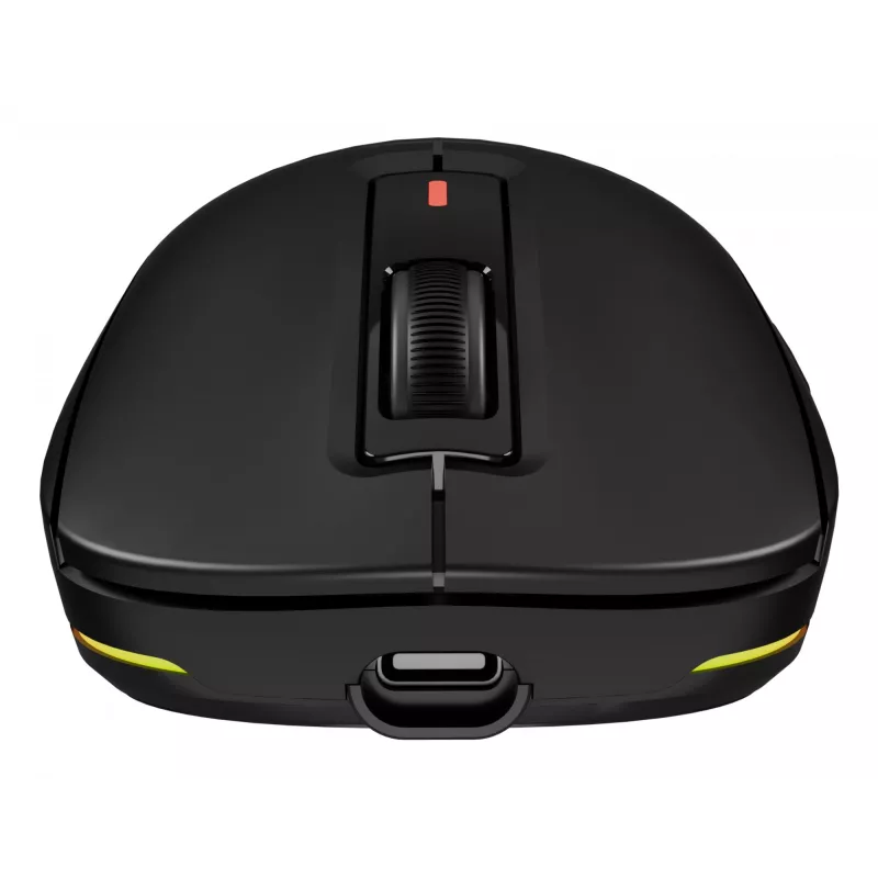GENESIS NMG-2193 pelė žaidimams Ambidextrous Bluetooth + USB Type-C Optinė 26000 DPI