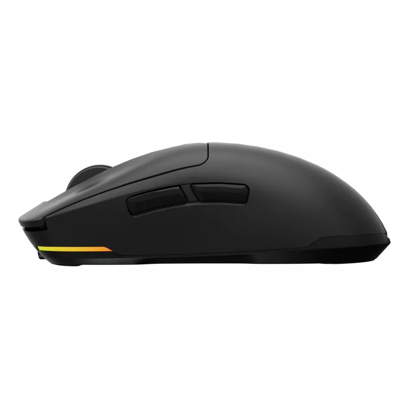 GENESIS NMG-2193 pelė žaidimams Ambidextrous Bluetooth + USB Type-C Optinė 26000 DPI