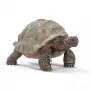 Schleich WILD LIFE Giant tortoise figūrėlė
