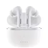 Ausinės Intenso White Buds T302A
