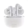 Ausinės Intenso White Buds T302A
