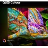 Hisense 50E77Q PRO 127 cm (50 colių) 4K Ultra HD QLED išmanusis televizorius Wi-Fi juodas