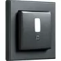 Judesio detektorius HomeMatic IP HmIP-SMI55-A Antracitas — montavimas ant sienos/lubų, 55 kadrų