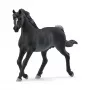 schleich HORSE CLUB Arabų eržilas, 5 m., Žirgai, Juoda, Pilka, Balta, Plastikas