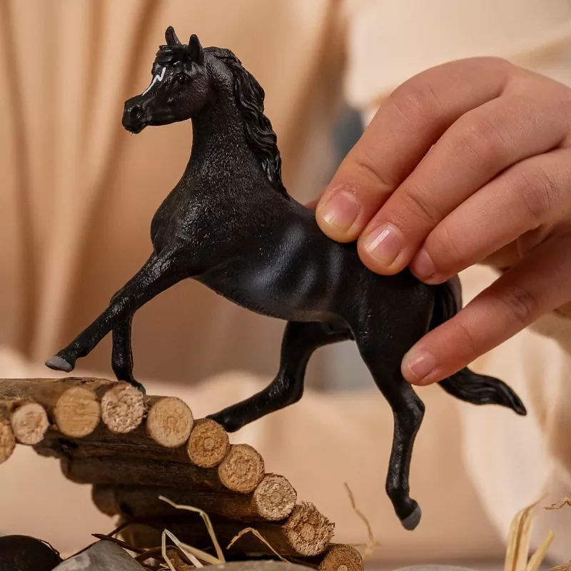 schleich HORSE CLUB Arabų eržilas, 5 m., Žirgai, Juoda, Pilka, Balta, Plastikas