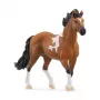 Schleich HORSE CLUB Mangalarga Marchador Eržilas
