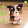 FurReal Walkalots Bernedoodle šuniukas, berniukas/mergaitė, 4 metai, garsas