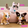 FurReal Poop-a-lots Korgis, Berniukas/Mergaitė, 4 m., Garsas