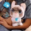 FurReal Wag-a-lots Kitty, Berniukas/Mergaitė, 4 m., Garsas