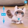 FurReal Wag-a-lots Kitty, Berniukas/Mergaitė, 4 m., Garsas