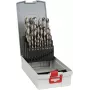 Sraigtinis gręžtuvas Bosch 2 608 587 017
