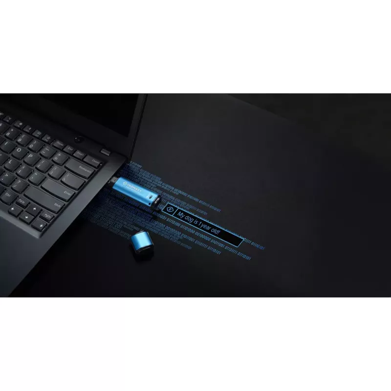 USB atmintukas Kingston 256GB USB Type-A IronKey Vault Privacy 50