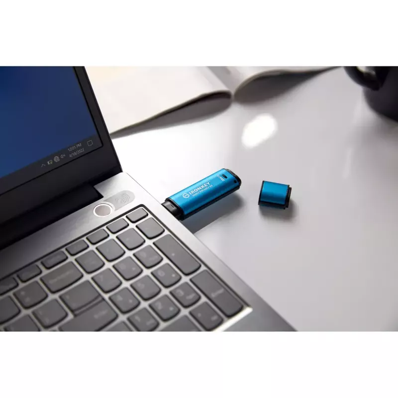 USB atmintukas Kingston 256GB USB Type-A IronKey Vault Privacy 50