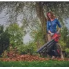 Akumuliatorinis lapų pūstuvas / siurblys Einhell VENTURRO 18/210