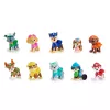 PAW Patrol 10th Anniversary All Paws On Deck Žaislų Figūrėlių Dovanų Rinkinys su 10 Kolekcinių Veikėjų, Vaikų Žaislai Nuo 3 Metų