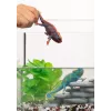 Schleich WILD LIFE Chameleonas, 3+ metų, Miškas, Safari, Laukiniai gyvūnai / nuotykių žaislai, Įvairiaspalvis, Plastikas