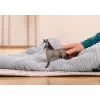 schleich HORSE CLUB Selle Français Mare - kumelė